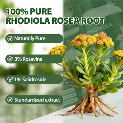 Rhodiola Rosea Capsules Adaptogenic Herbal Supplement