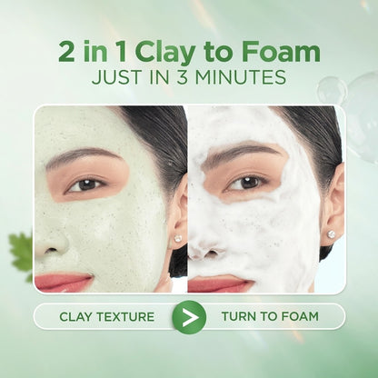 Salicylic Acid Mugwort Gel Mask – Deep Cleansing Clay-to-Foam Facial Cleanser