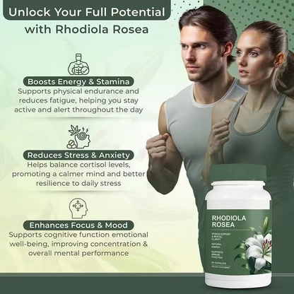 Rhodiola Rosea Capsules Adaptogenic Herbal Supplement