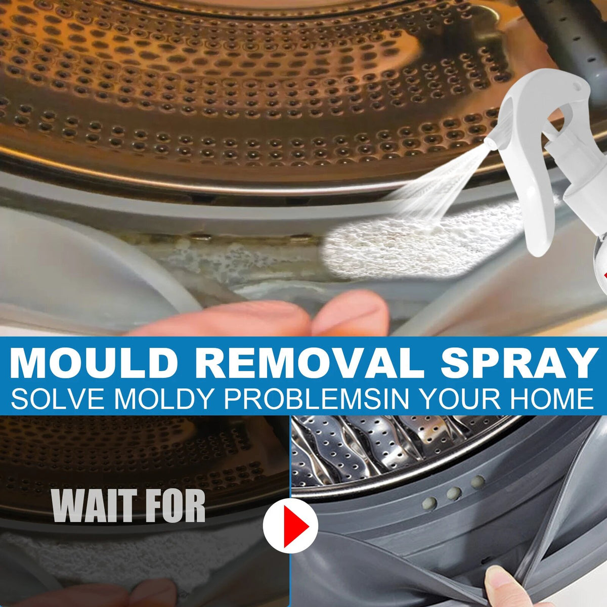 Instant Mould Remover